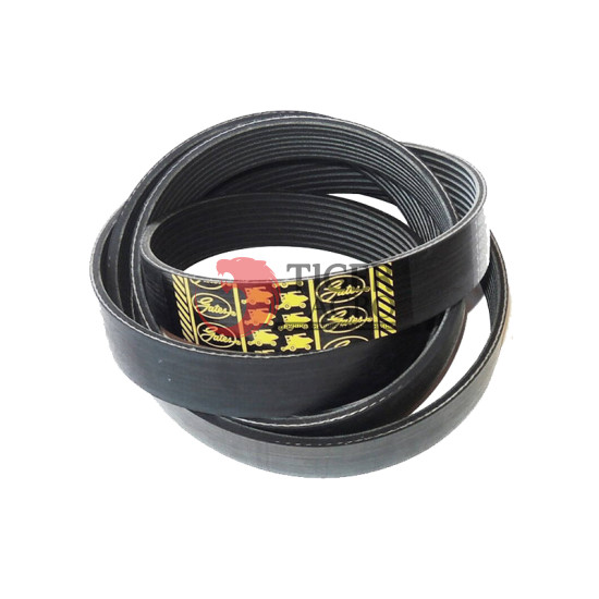 0785269 Пас (J911562) Gates