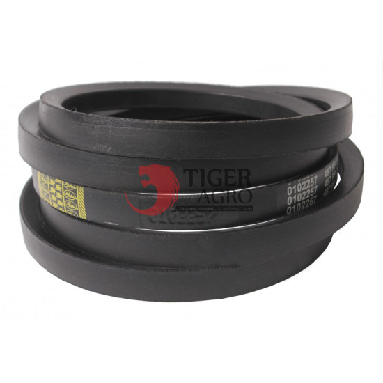 0102257 Пас (H219182/191290C1/724141/Z36499/H168301/01139082) Gates