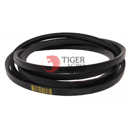 0201333 Пас (Z30920/Z60135) Gates 