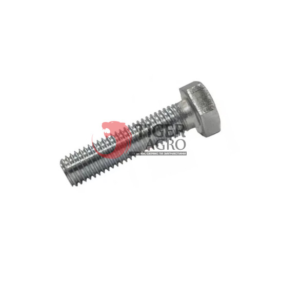  Гвинт 0002335720 Agri Parts (M10x55 )