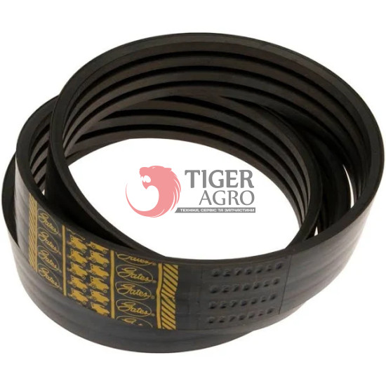 0240348 Пас (Z61857/Z59255/Z54332) Gates