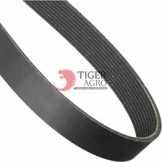1485353 Пас (660382/HXE95150/AP1003254/2590-PK8) Gates