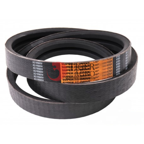 AG19560W Пас 2RHB81 (E77425A/0223195/100157/667249) Timken Belts