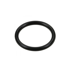 Кільце 0002159220 Agri Parts